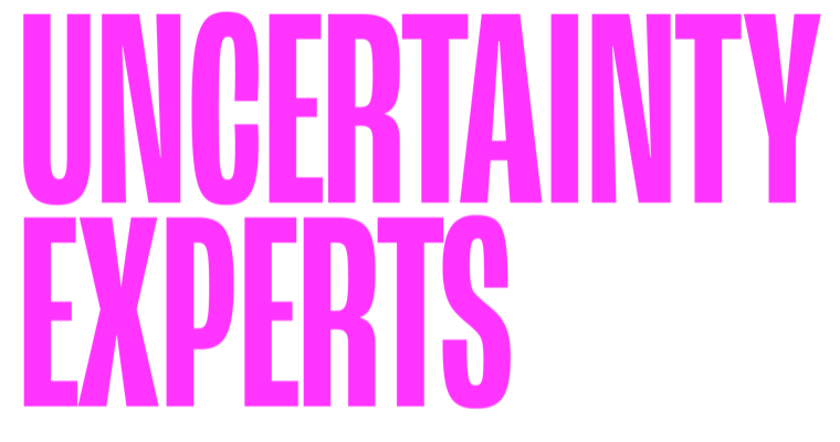 Uncertainty Experts